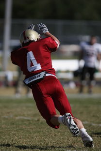 半岛综合体育官方app下载-蒙特雷赛前训练公开，备战世俱杯冲刺